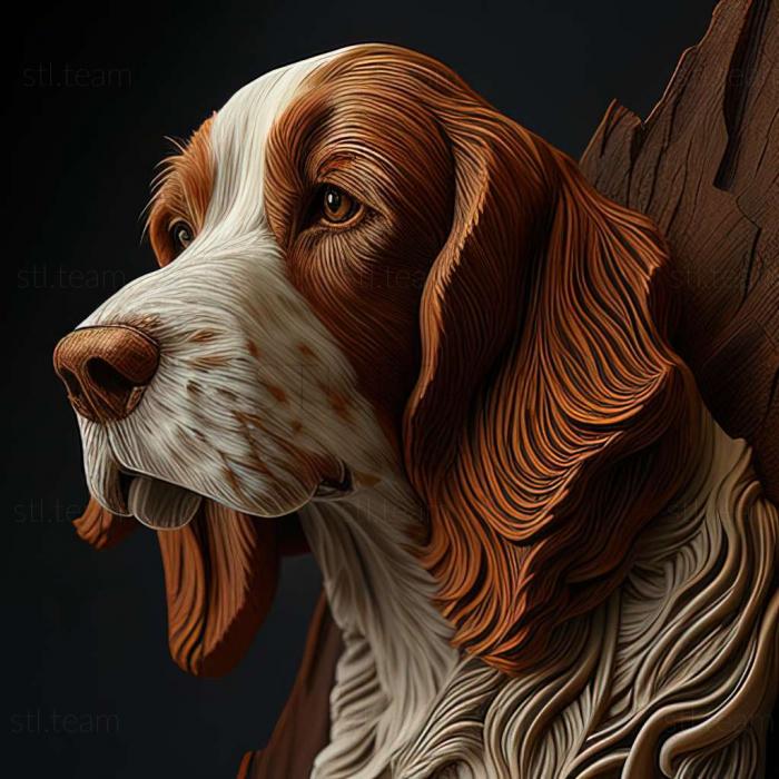 Welsh Springer Spaniel dog